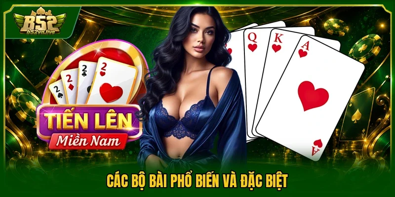 Các bộ bài phổ biến và đặc biệt