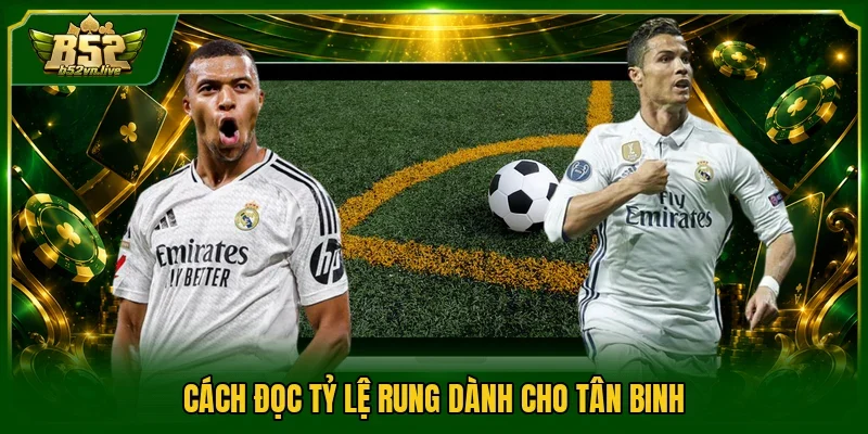Cách đọc tỷ lệ rung dành cho tân binh